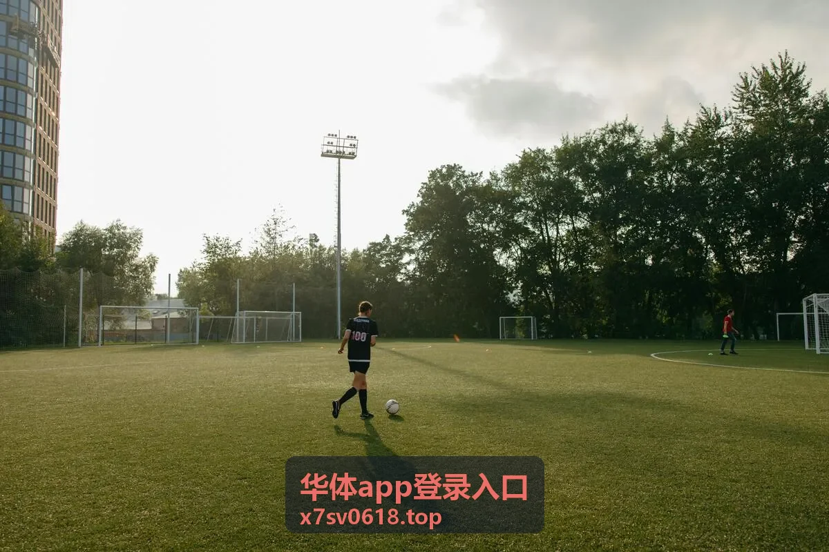 华体app登录入口手机端登录界面展示